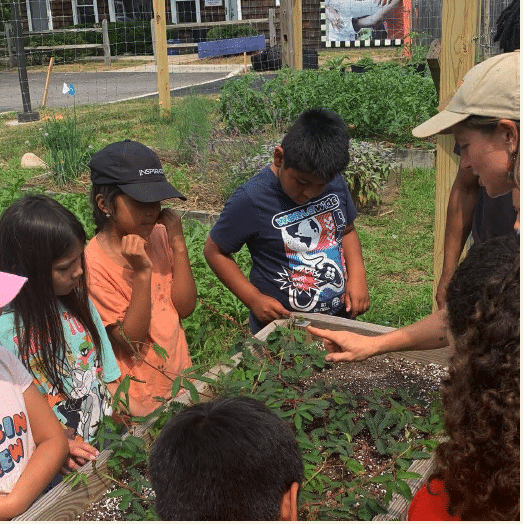 Children learning how to garden